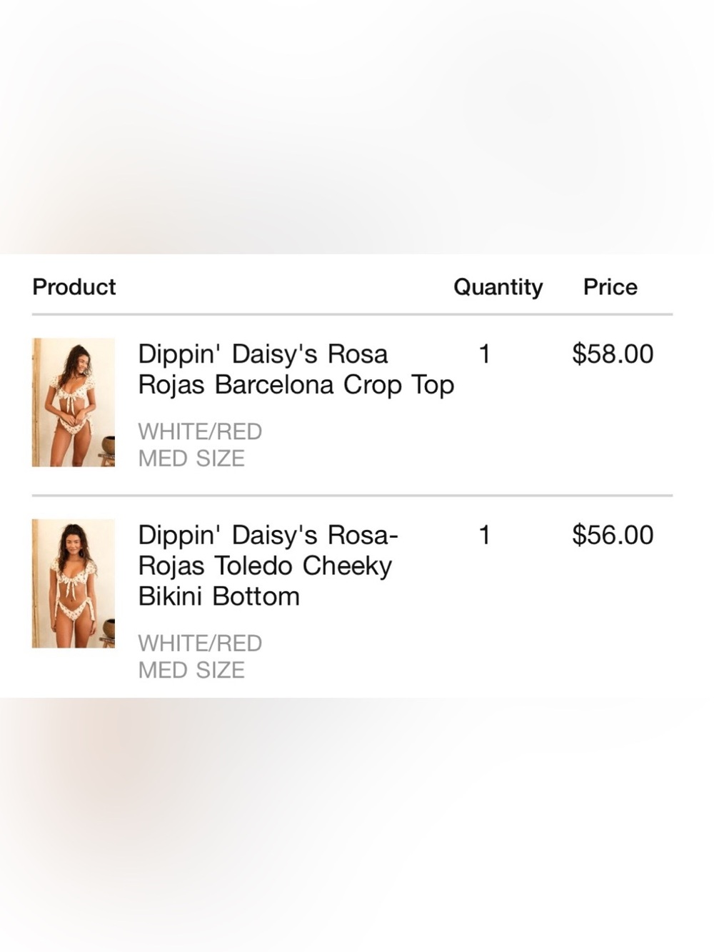 NEW Dippin' Daisy's Floral Tie-Side Bikini Set - Picture 14 of 14